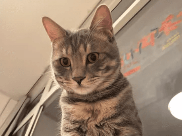 Originales Referenzbild 2