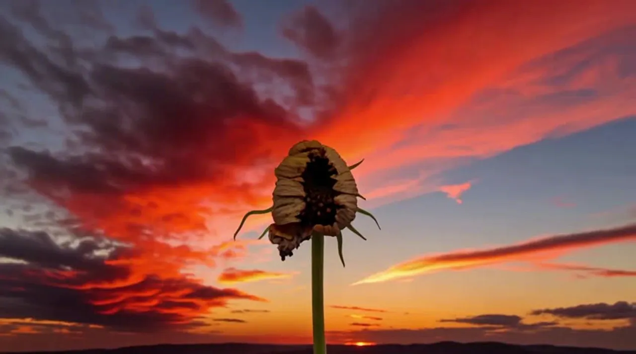 Text to video - cinematic example